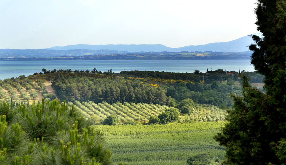 Umbria and Tuscany